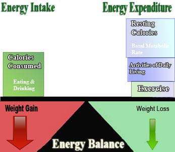 ** PLEASE DESCRIBE THIS IMAGE **