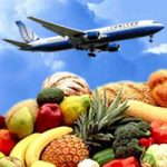 eating healthy while traveling