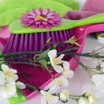 spring cleaning tips