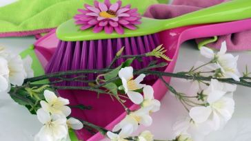 spring cleaning tips