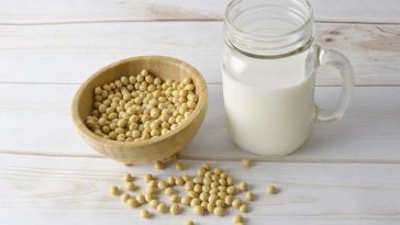soy milk protein