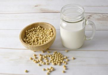 soy milk protein